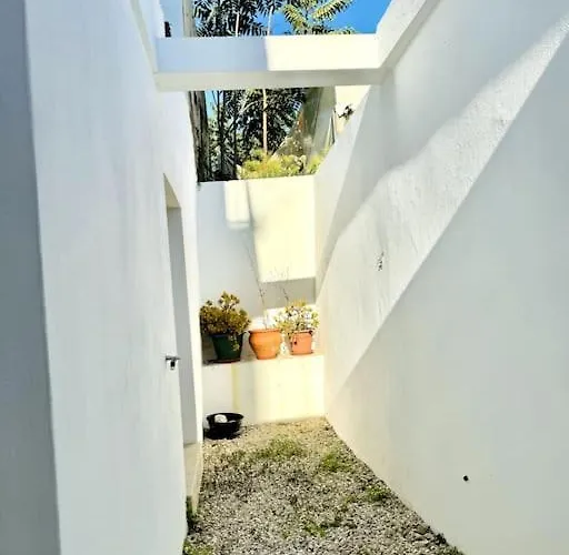Apartament Renovated With Small Garden In Ajuda *